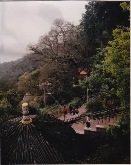 1993: IUCr Congress and General Assembly: Excursions