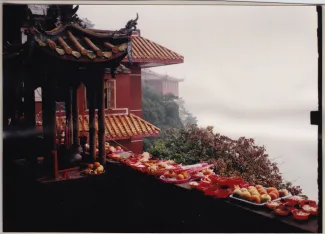1993: IUCr Congress and General Assembly: Excursions