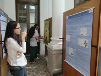 2010: International School on Mathematical and Theoretical Crystallography: Posters