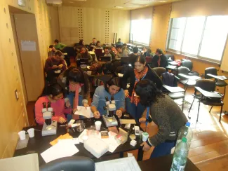 2014: IUCr-UNESCO Open Lab: Hands-on session