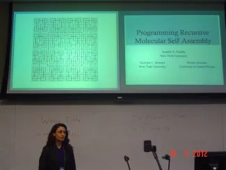 2012: Special Session on Modeling Crystalline and Quasi-Crystalline Materials: Participants