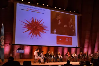 2014: Opening Ceremony of the International Year of Crystallography: Young Crystallographers Session