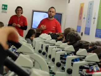 2014: Bologna - workshop for schoolchildren: Hands-on participation