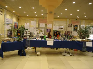 2014: Belgian Regional Science Competition: Participants