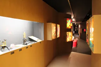 2013: Crystalli!: Exhibition