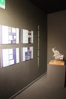 2013: Crystalli!: Exhibition