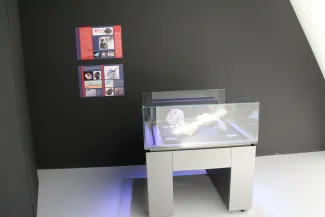2013: Crystalli!: Exhibition
