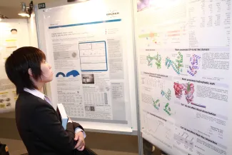 2007: AsCA Meeting: Posters