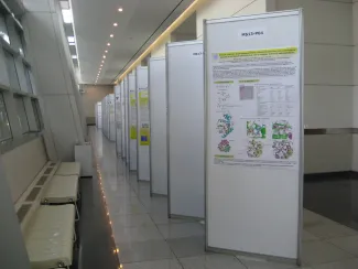 2010: AsCA Meeting: Venue