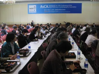 2010: AsCA Meeting: Luncheon seminar