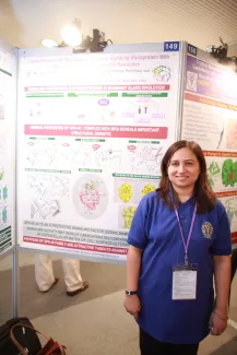 2007: AsCA Meeting: Posters