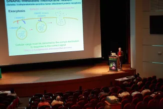 2007: AsCA Meeting: Lectures