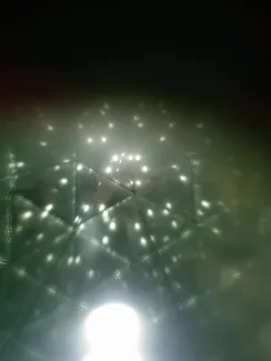 2014: Librinfesta: Interactive Exhibition