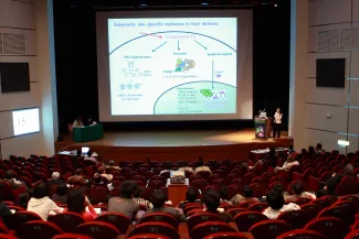 2007: AsCA Meeting: Lectures