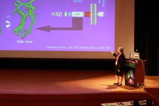2007: AsCA Meeting: Lectures