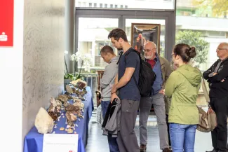 2014: Alice im Kristall-land: An open crystallography day for the general public