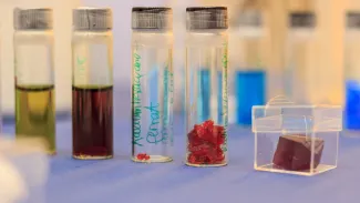 2014: Alice im Kristall-land: An open crystallography day for the general public