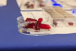 2014: Alice im Kristall-land: An open crystallography day for the general public