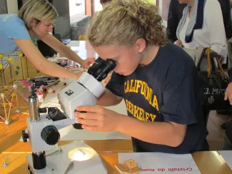 2013: The Room of Crystals: Exhibition and hands-on demonstrations