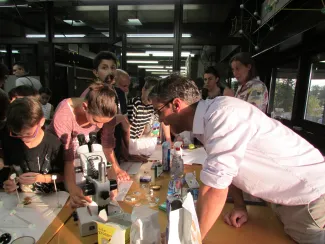 2013: The Room of Crystals: Exhibition and hands-on demonstrations