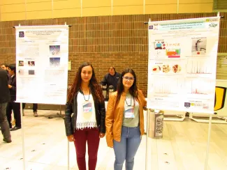 2018: MathCryst International School on Fundamental Crystallography: Posters