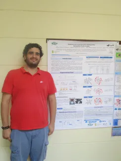 2016: International School on Mathematical and Theoretical Crystallography: Posters