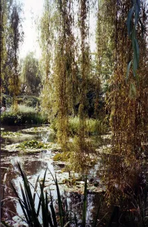 1996: IUCr Congress and General Assembly: Banquet