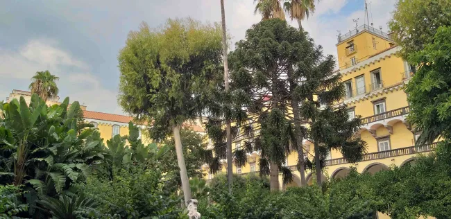 2019: Crystallographic Information Fiesta: Venue