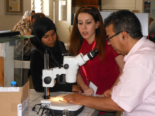 2014: IUCr-UNESCO Open Lab: Travelling Laboratory Rabat