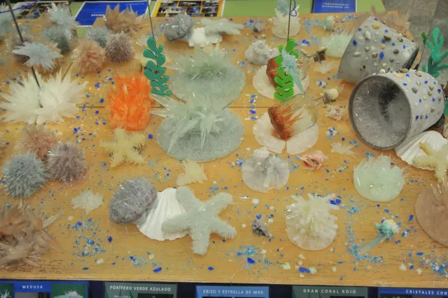 2013: Spanish Schools Crystallization Competition: Final event