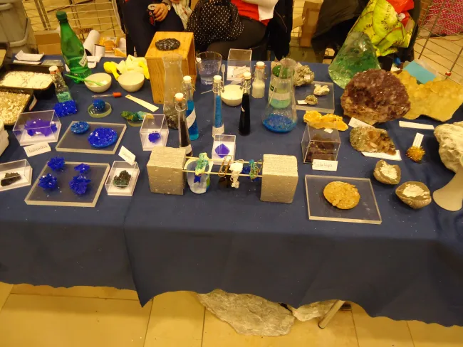 2014: Belgian Regional Science Competition: Participants