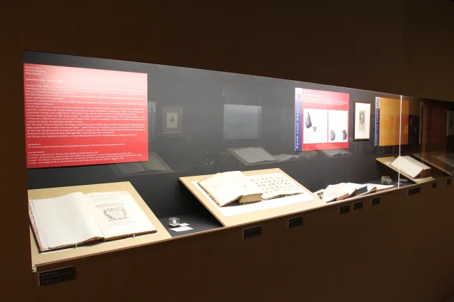 2013: Crystalli!: Exhibition