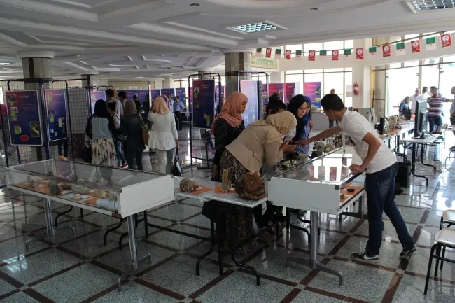 2015: IUCr-UNESCO Open Lab: Exhibition and public space