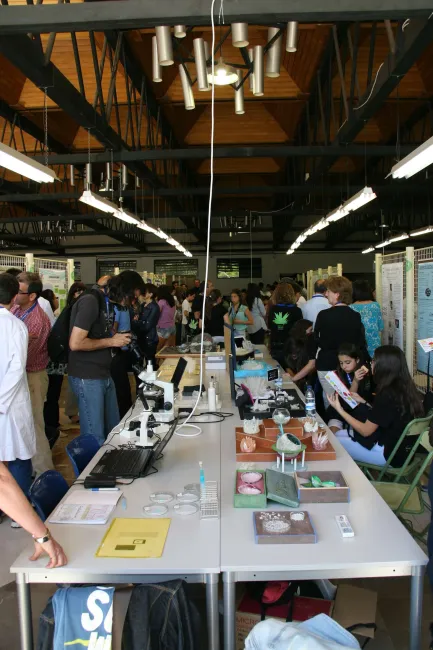 2013: Spanish Schools Crystallization Competition: Final event