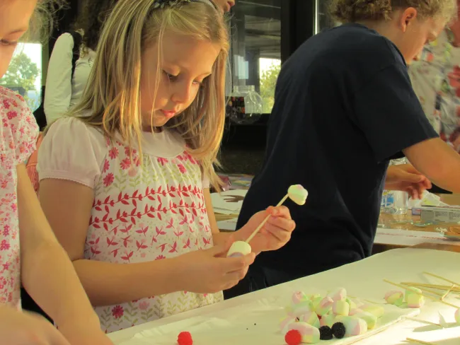 2013: The Room of Crystals: Exhibition and hands-on demonstrations