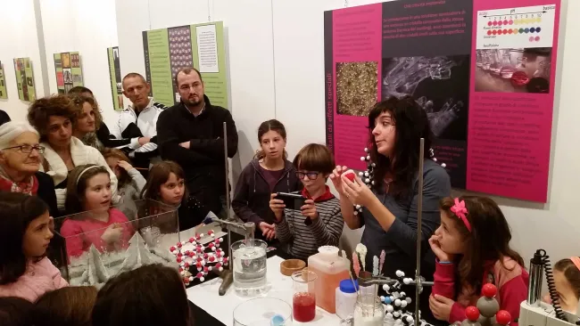 2014|Crystalli|Participants